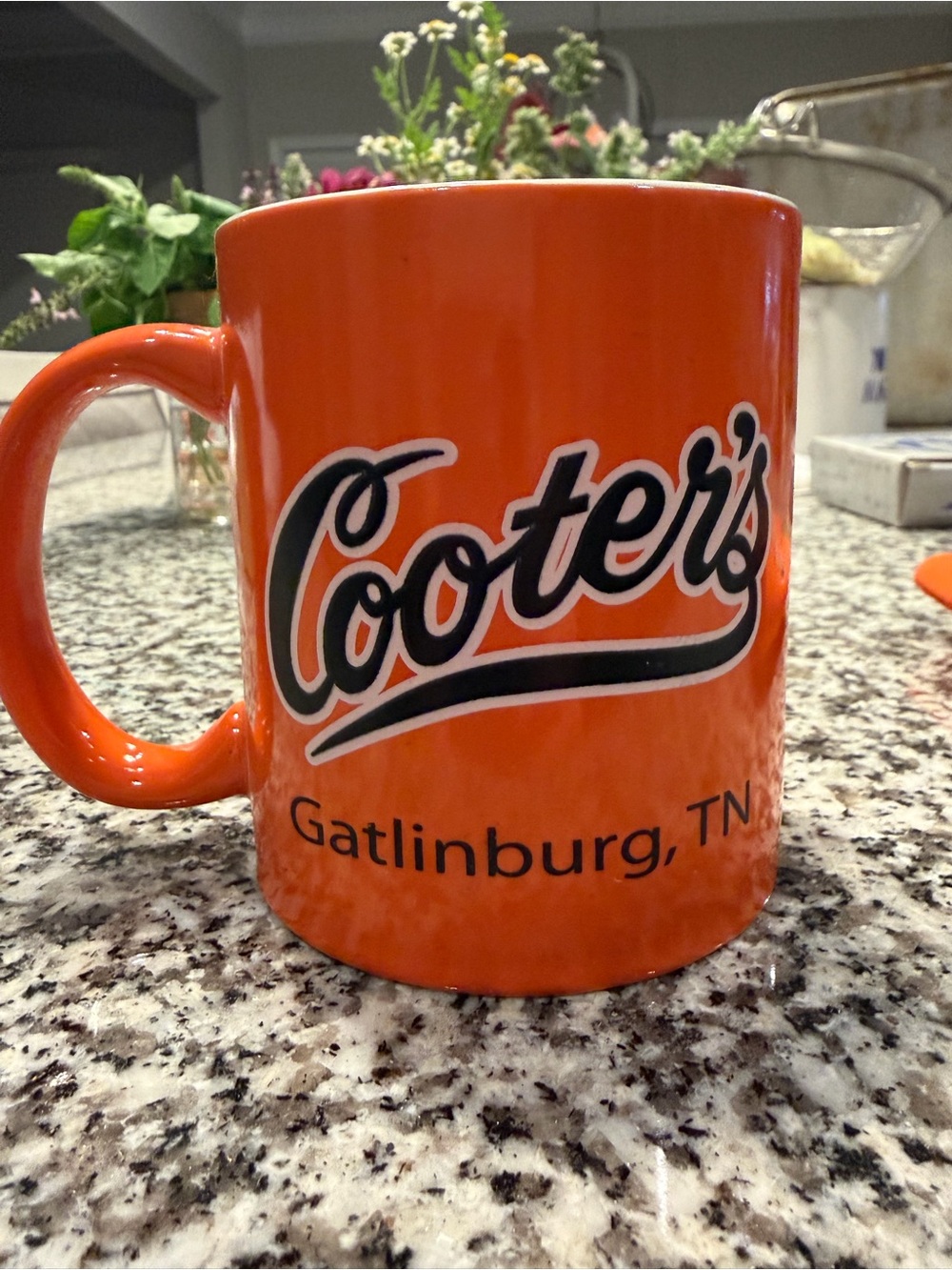 Dukes Of Hazzard Cooters Garage Gatlinburg TN Coffee Cup Mug Orange & Koozie